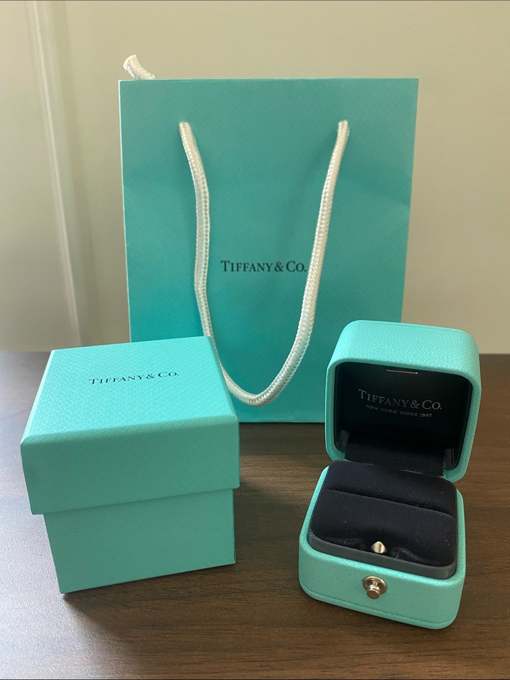 Tiffany & Co. Robin's Egg Blue Gift Bag with Leather Ring Box Set